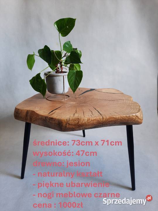 Stolik kawowy plaster drewna loft industrial Długołęka