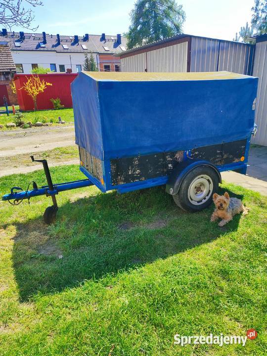 Przyczepka samochodowa Do samochodów osobowych Opole