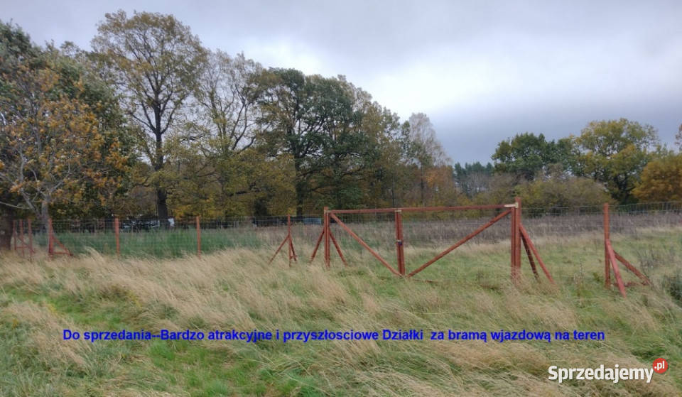 Sprzedam działki w Sasinie koło Łeby budowlana Sasino