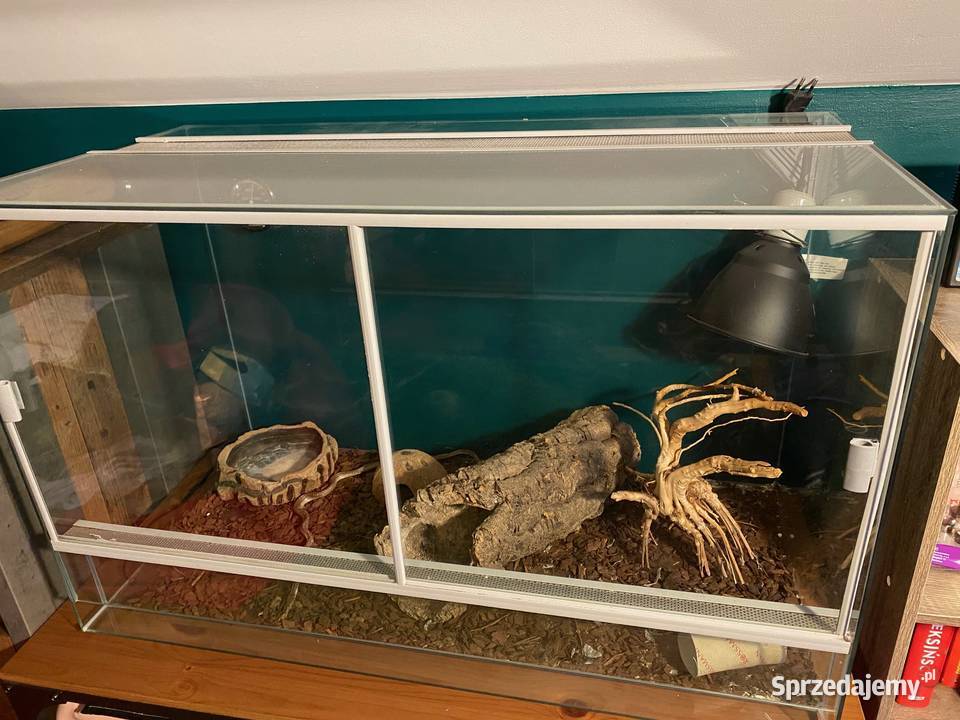 Terrarium z wyposażeniem Lublin sprzedam