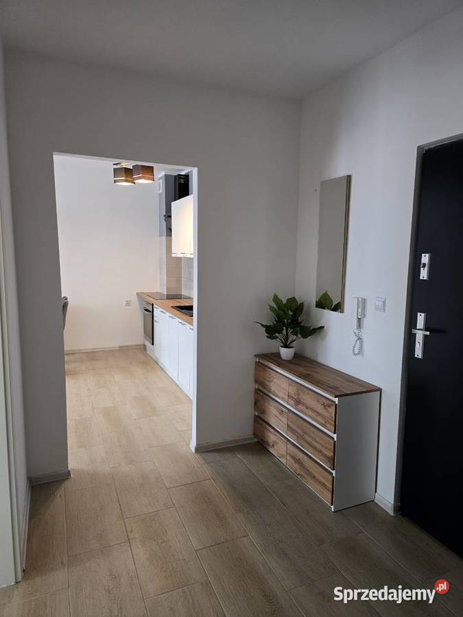 Lokal mieszkalny 5060 m2 do wynajęcia Piętro 1 Wynajem Głogów