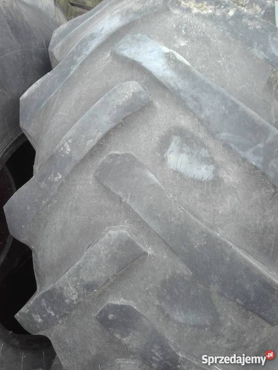 opony do bizona 23126