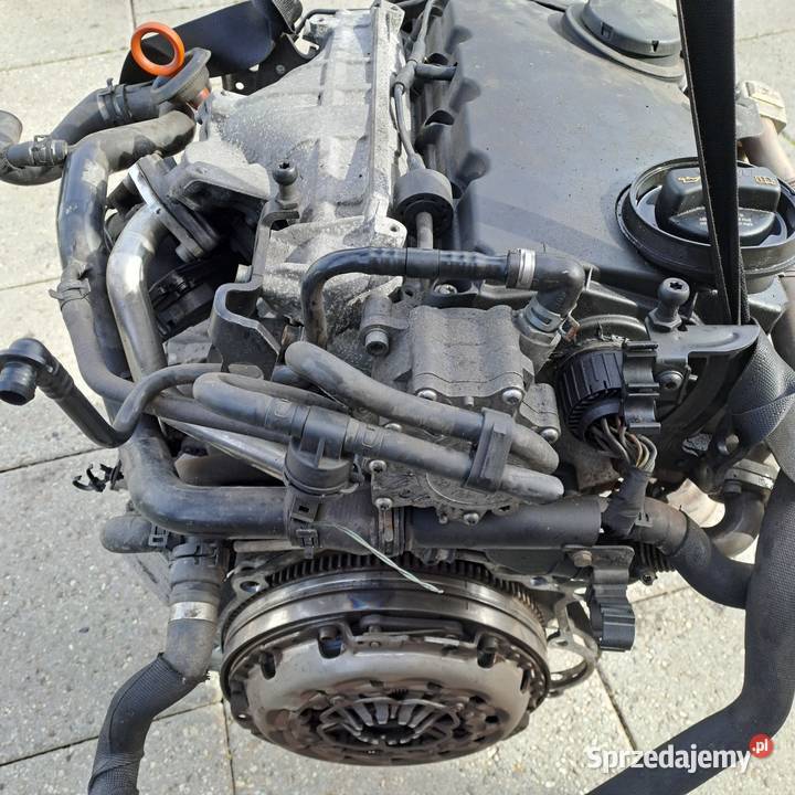 Audi A4 B7 20 TDi 170 skrzynia biegów manual kod Skrzynie biegów manualne