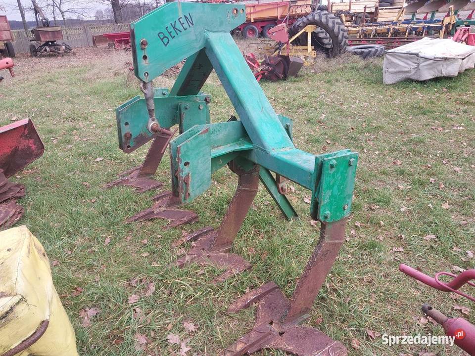 Głębosz nieuszkodzony Głębosze łódzkie