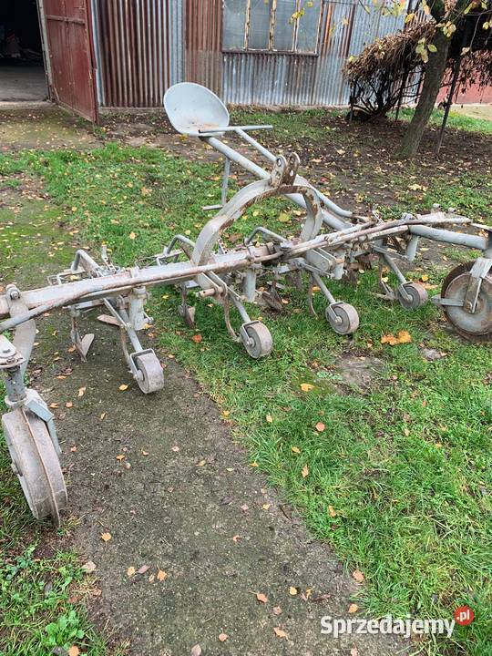 Pielnik opielacz wielorak do grochu buraków Dąbrowa Tarnowska