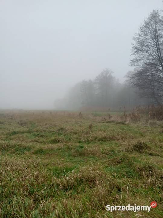 Sprzedam Dzałkę Budowlaną 1000m2 z własną linią 1000m2 Piotrkowo