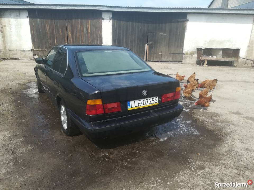 30letnia bunia o pięknym wyglądzie BMW E34 Spiczyn