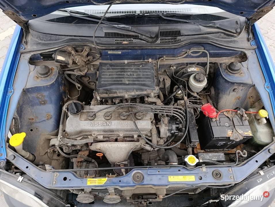 Glebson Micra 10 wielkopolskie Śrem