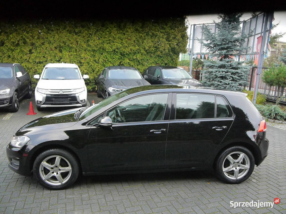 Volkswagen Golf 16tdi 170 Stan b 100bezwypadkowy Częstochowa