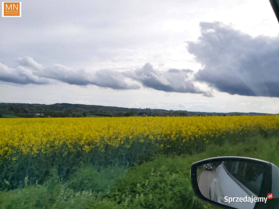 Sprzedaż działki 1016m2 Marszowice 274zł/m2 Sprzedaż