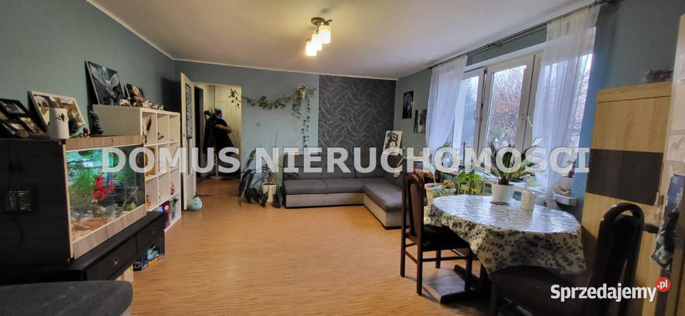 Mieszkanie Piotrków Trybunalski 4167m2 2 pokoje