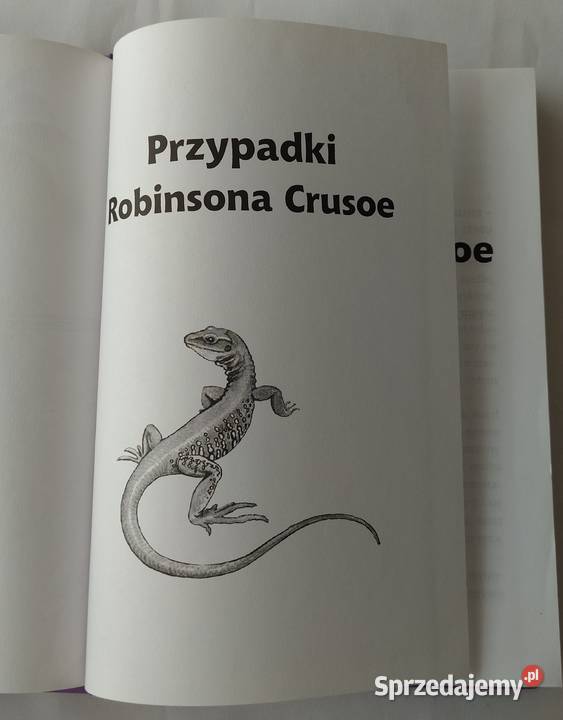 PRZYPADKI ROBINSONA CRUSOE Daniel Defoe Proza i poezja Hajnówka