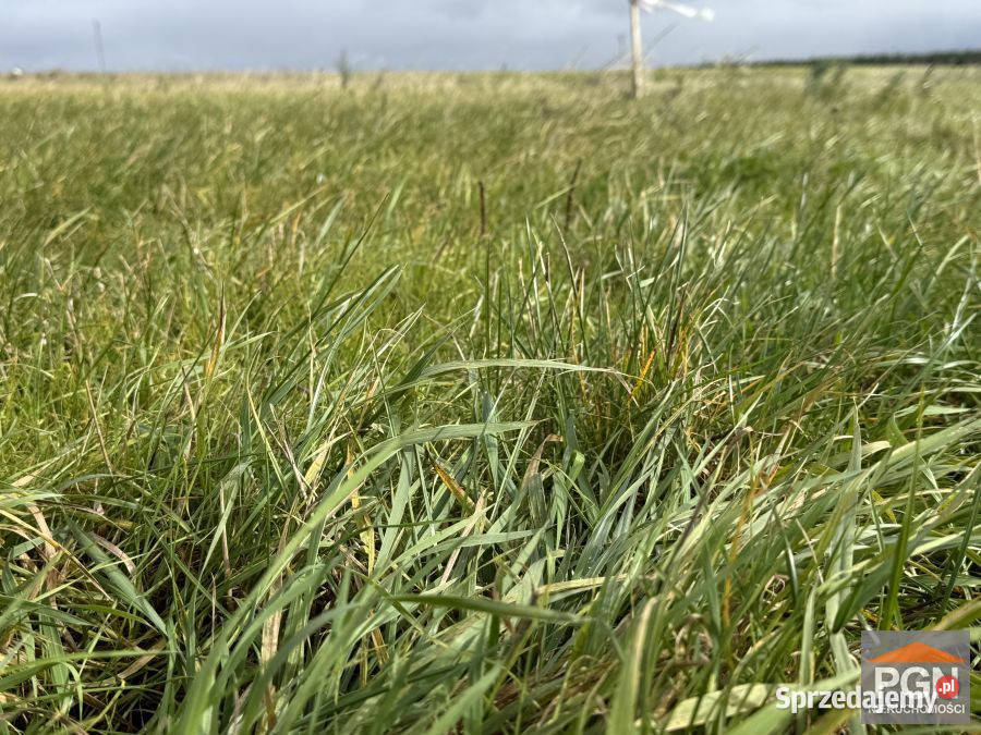 Sprzedaż działki Gryfice 3000m2 prąd