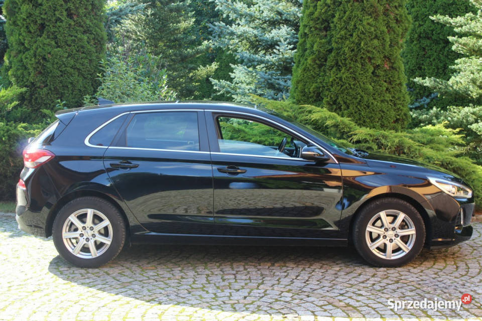Hyundai i30 14 TGDI 140 Intro Panorama Bogate wielofunkcyjna kierownica dolnośląskie Lubań