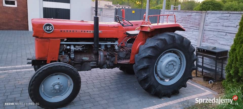 Ciągnik rolniczy MF 165 Massey Ferguson Szydłowiec