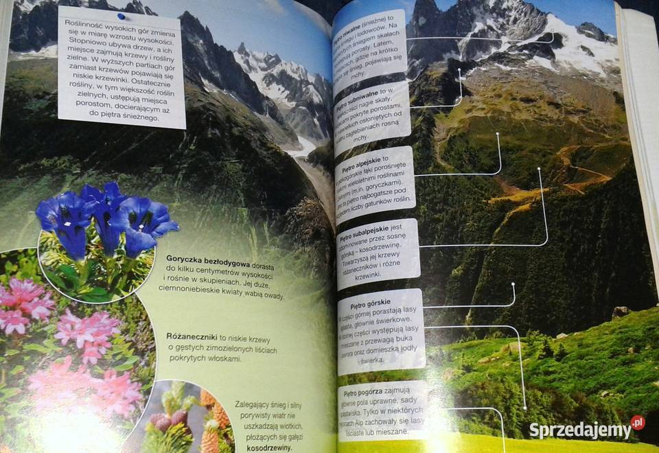 Tajemnice przyrody Kl 6 J Stawarz F Szlajfer Chełm