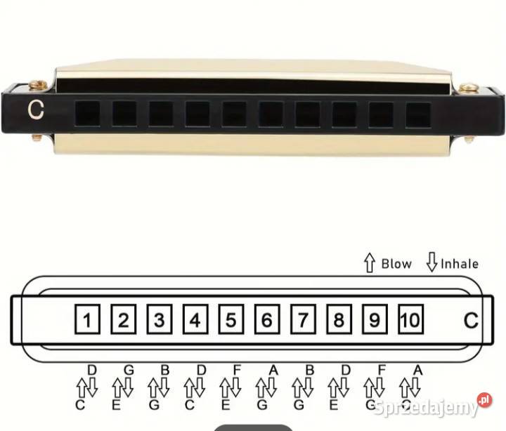 Harmonijka 10 otworów Warszawa