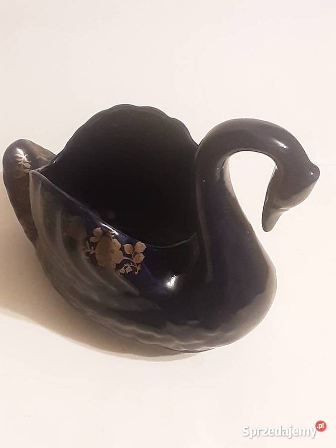 Łabądź dekoracyjny Szczecinek