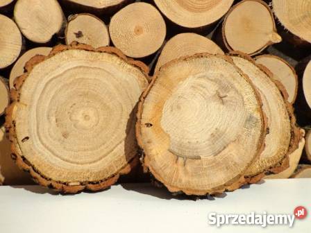 Plastry drewniane dąb szlifowany 1214 Plaster sprzedam