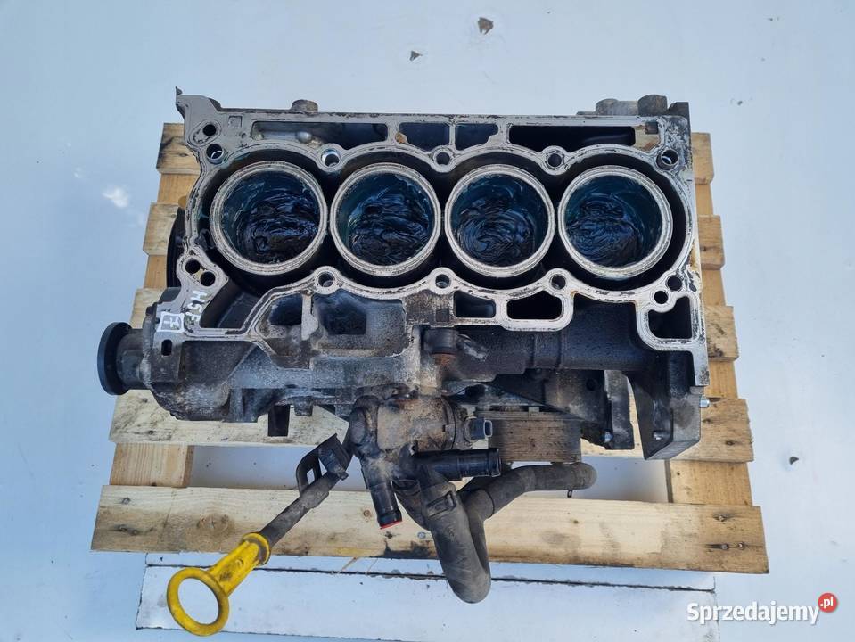 DÓŁ SILNIKA BLOK Renault Scenic Megane III Dacia Rudka