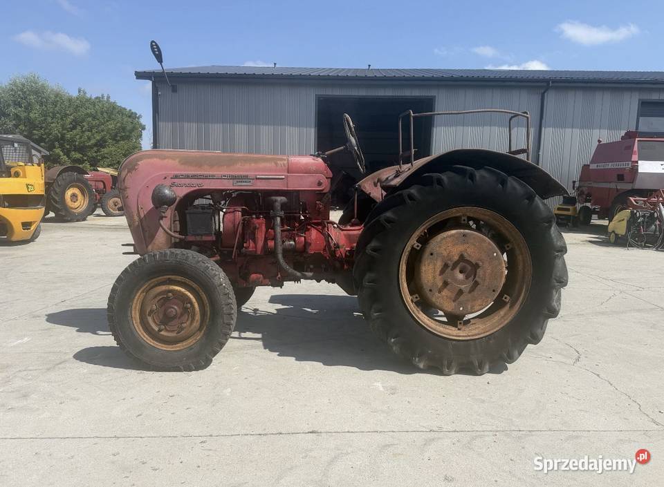 Ciągnik Porsche Standard 1959 sprawny mazowieckie Bartołdy
