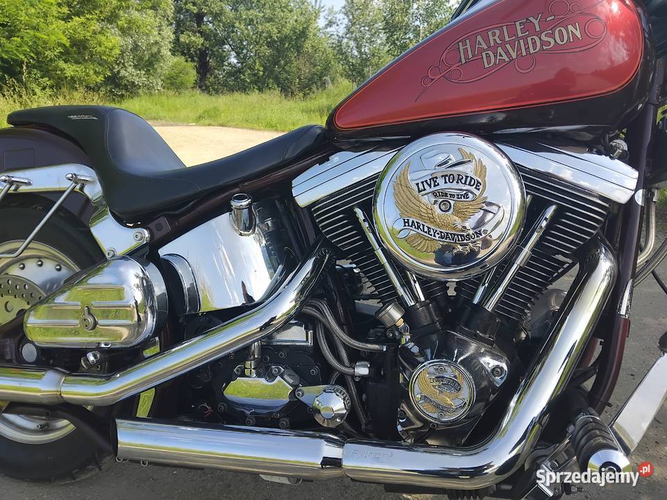 HARLEY DAVIDSON Softailevo podkarpackie Jarosław