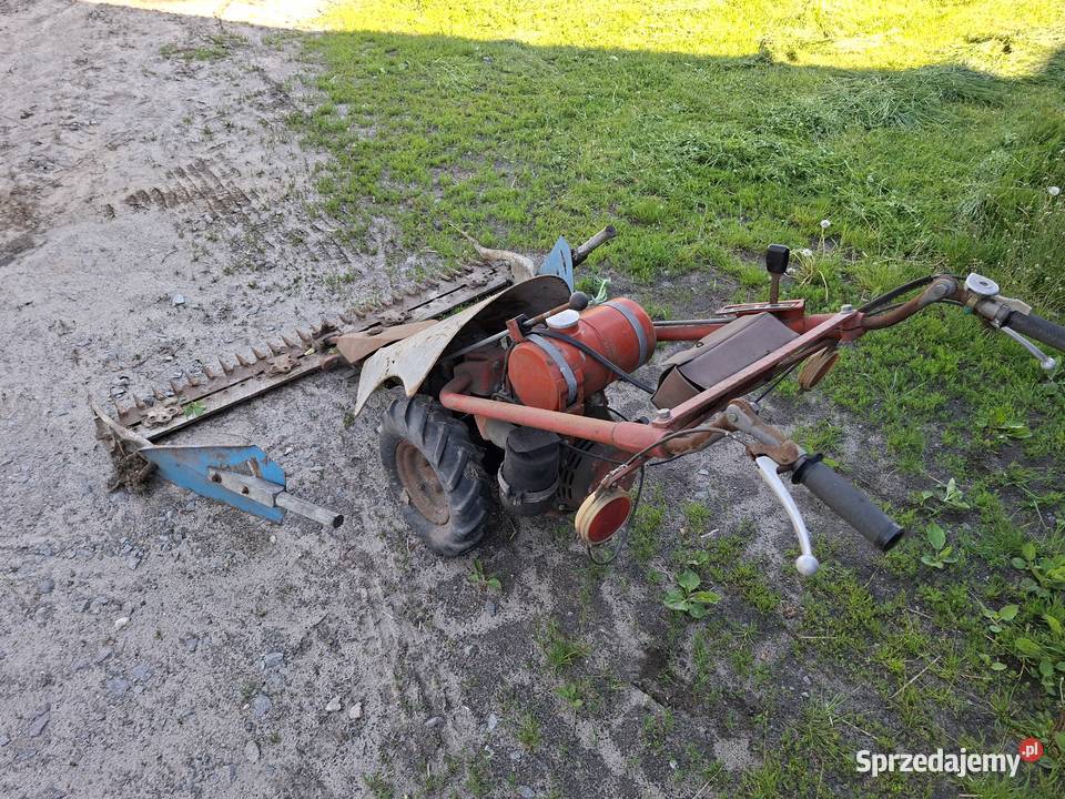 Traktorek Kosiarka Dzik MF 70 Dom i Ogród wielkopolskie Kępno