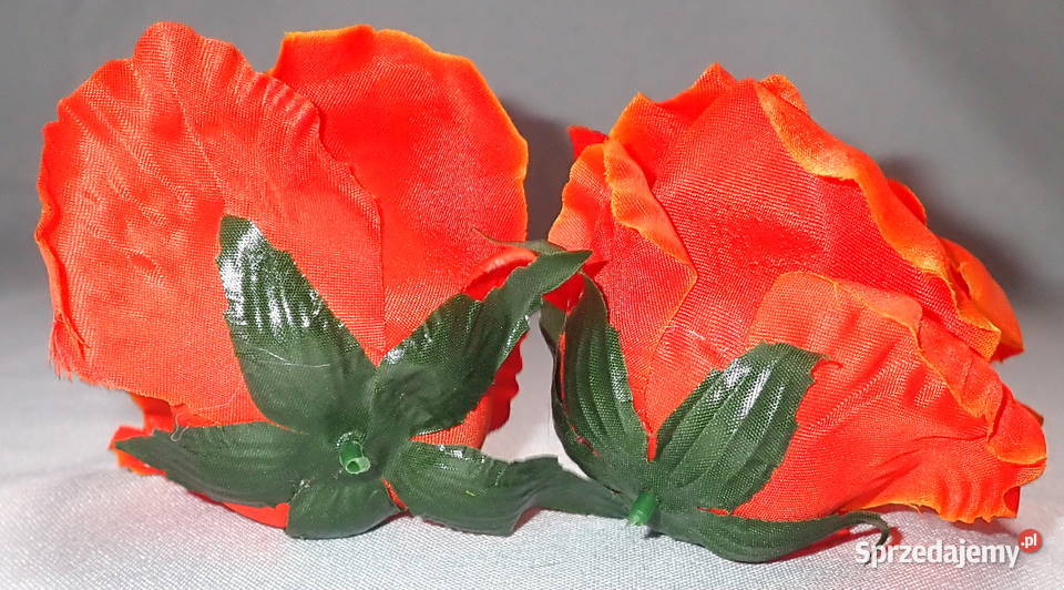 Róże rozwinięte różne kolory 1 śred 11 LA641 śląskie Siewierz sprzedam