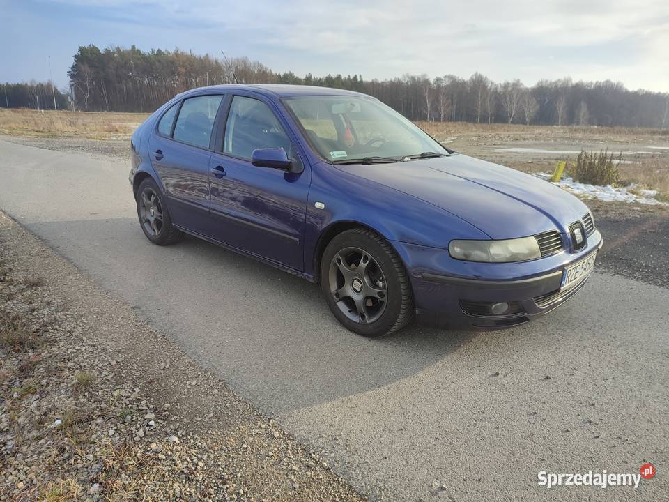 Seat Leon Kamień