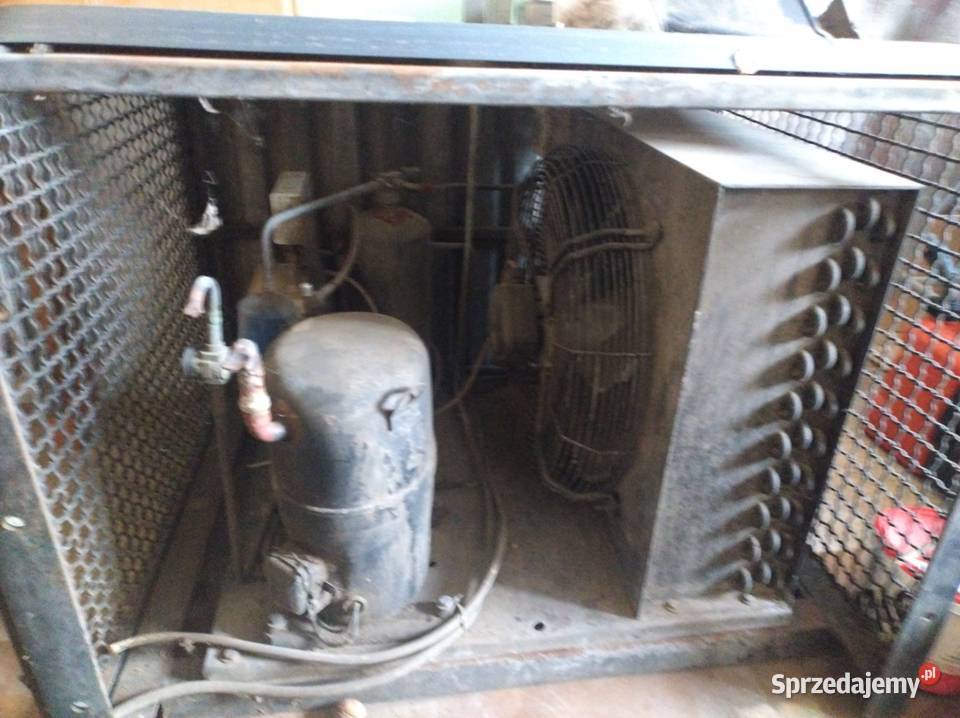 Lada chłodnicza 38m Sietesz