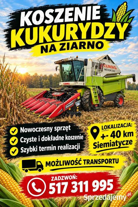 Koszenie kukurydzy na ziarno możliwość Kłopoty-Stanisławy