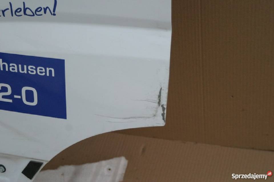 IVECO DAILY VI DRZWI PRZEDNIE PRAWE GOŁE lubuskie Bieleń