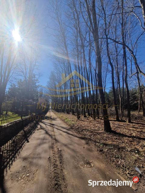 Działka Żabia Wola św Anny 17261m2