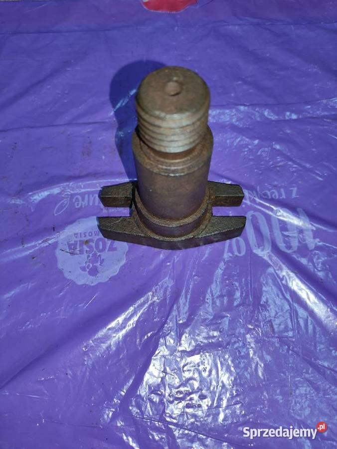 Koło pasowe i inne dolnośląskie Przeworno