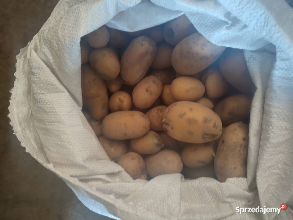 Sprzedam ziemniaki odpadowe 080 grq Pozostałe śląskie Toszek sprzedam
