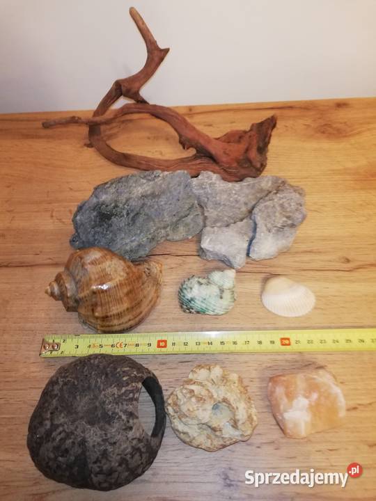 Dekoracje naturalne do akwarium Tanio Warszawa sprzedam
