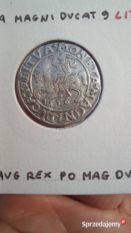Półgrosz 1556r Zygmunt ll August Numizmatyka Trzebinia