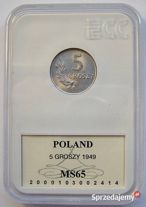 Polska 5 gr 1949 r bz Stan I UNC MS 65 w slabie Numizmatyka Rydzyna