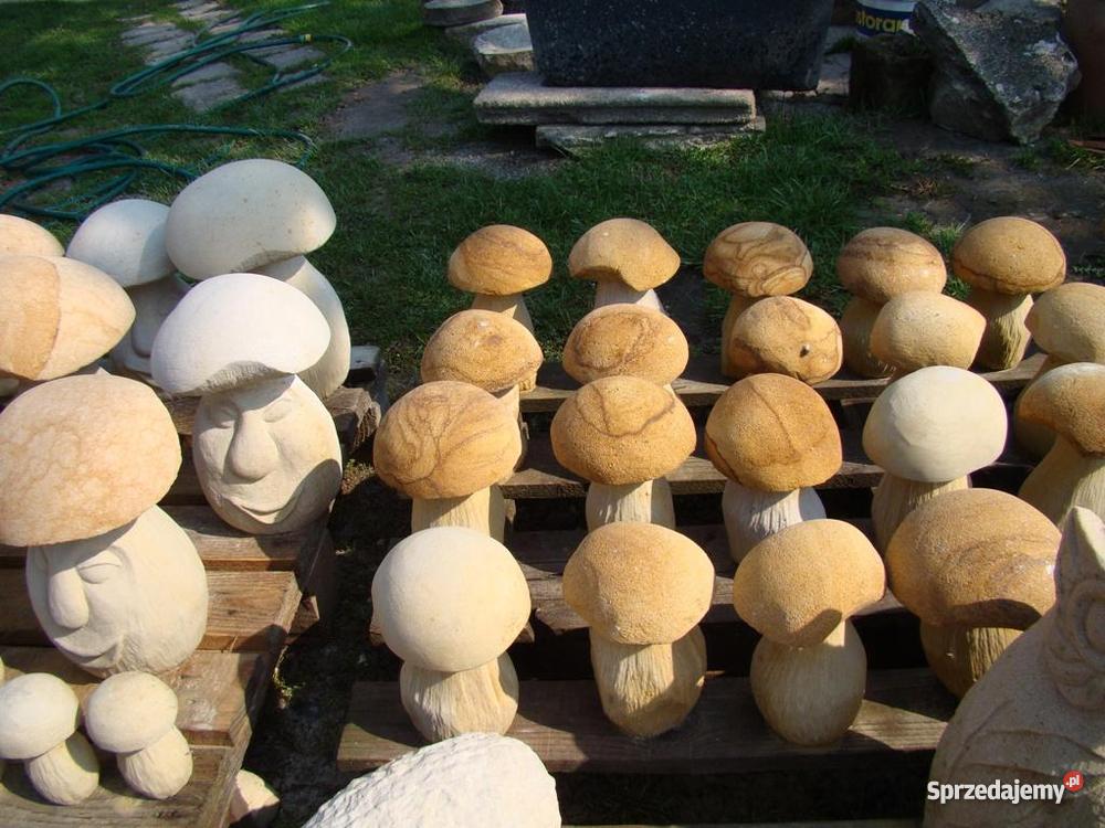 Śmieszny grzyb z piaskowca piaskowiec ogród