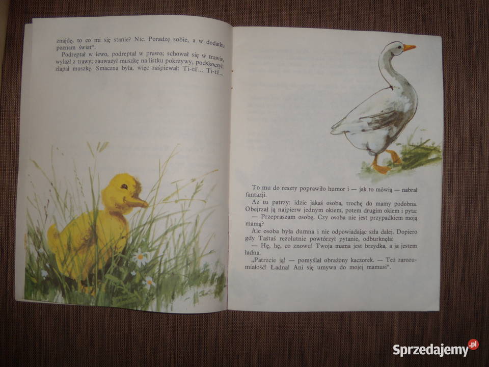 Taś taś Benedykt Hertz Warszawa