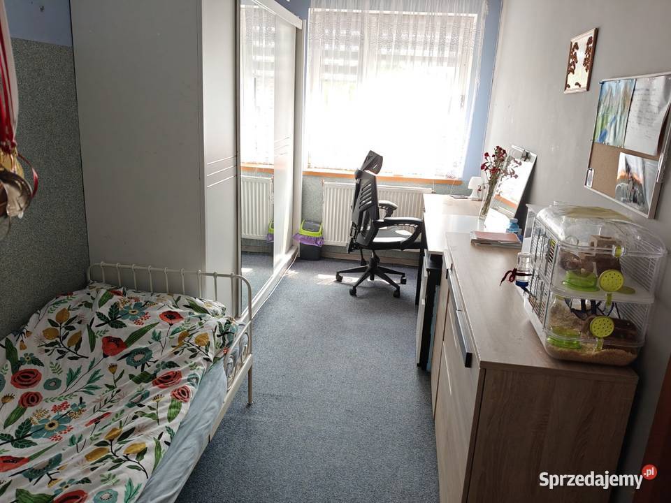 Syndyk sprzeda Długosiodło Czwórki
