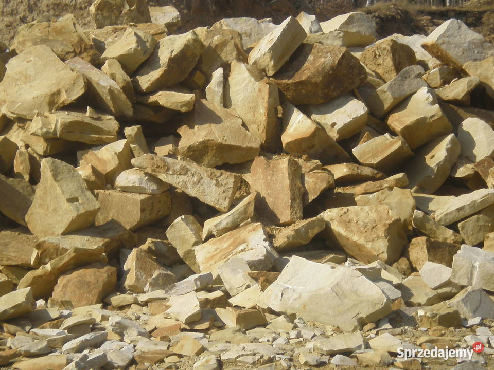 DZIKÓWKA KAMIEŃ OGRODOWY Radom