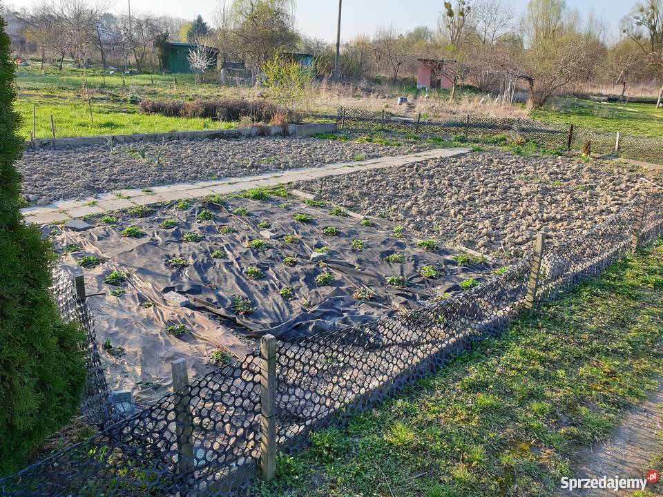 Działka ROD rekreacyjna ogrodowa Malbork