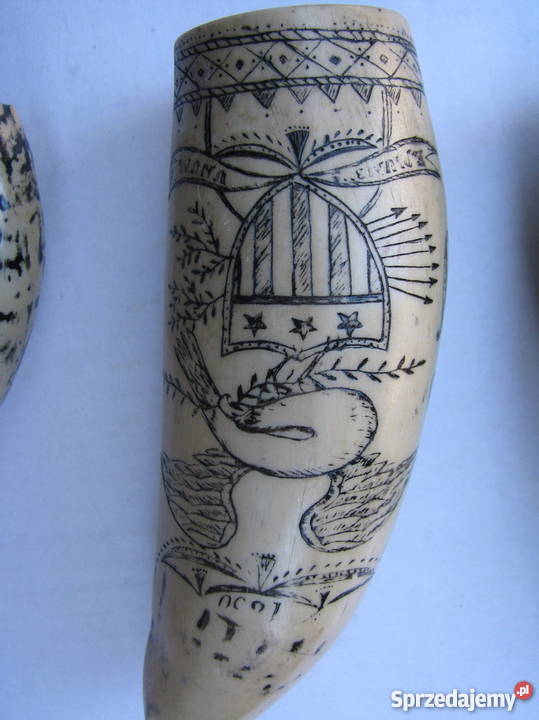 KŁY MORSA TROFEUM RZEŹBIONE 4 małopolskie Kraków