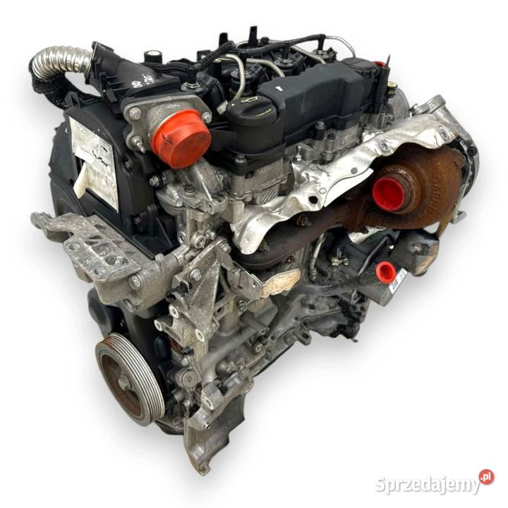 SILNIK KOMPLETNY G8DD Ford Focus II MK2 C C 16 Chełm