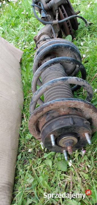 amortyzator zacisk piasta prawy przód Fort