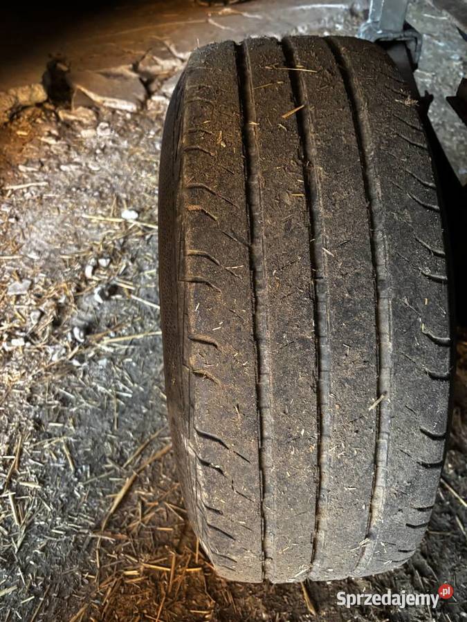 Koła Janów Lubelski