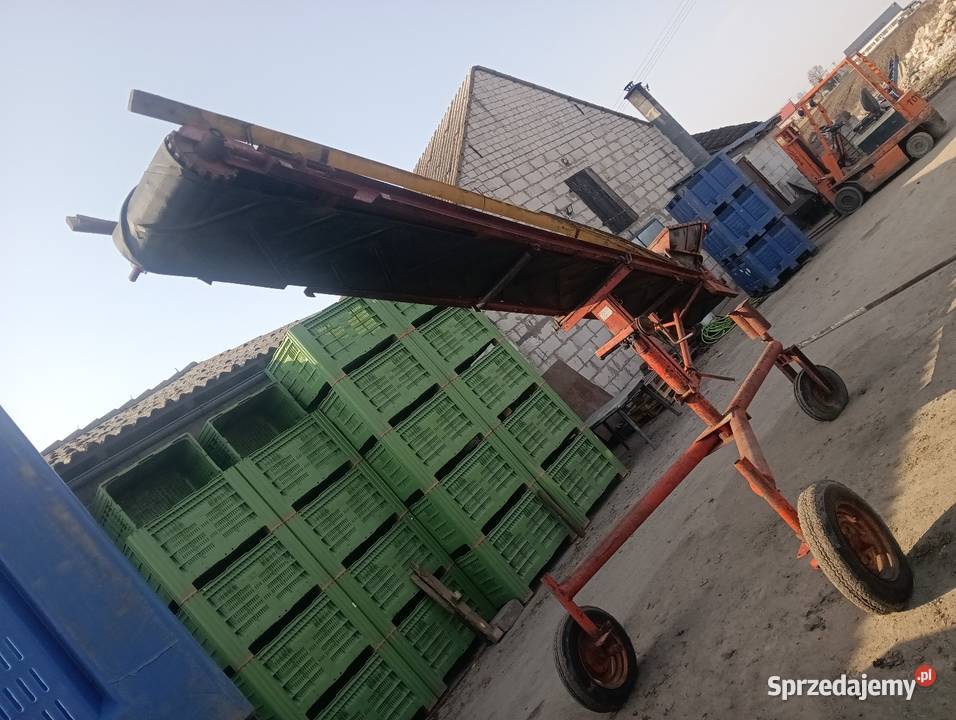 Taśmociąg pryzkownik podajnik przenośnik taśma nieuszkodzony Bajerze