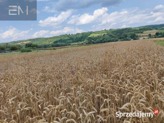 sprzedaży gruntu 3020m2 Godowa prąd Sprzedaż sprzedam