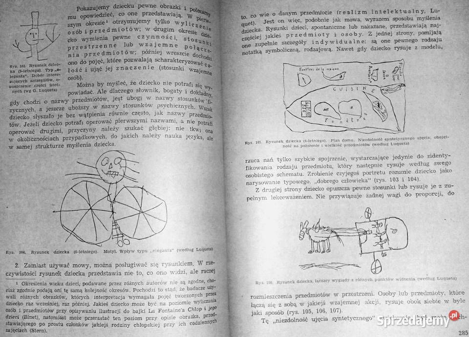 Podręcznik psychologii Paul Guillaume miękka Chełm